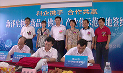CC国际·(集团)官方网站