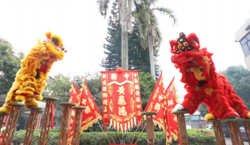 龙腾狮跃，共铸鲜丽未来！